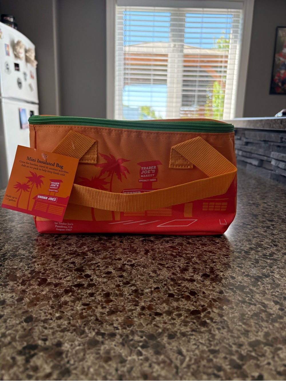Trader Joe's Orange & Red Mini Insulated Lunch Bag with Green Zipper